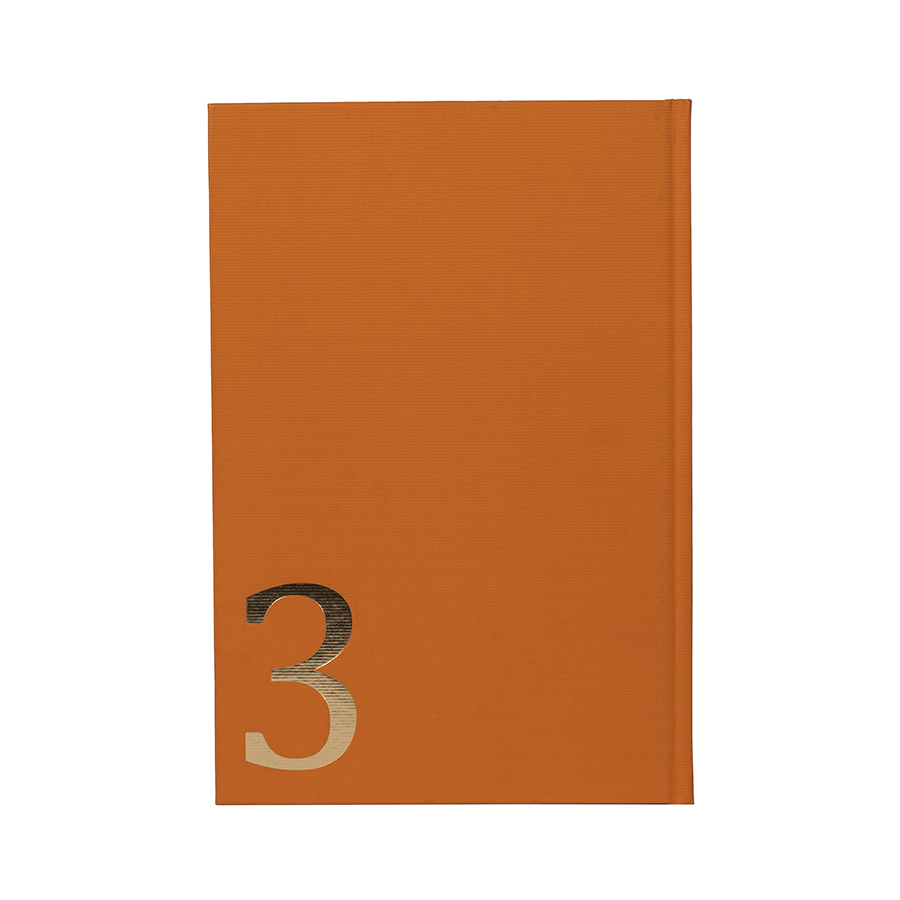  Mikalojus Konstantinas Čiurlionis: korespondencija T. 3, 1892–1910