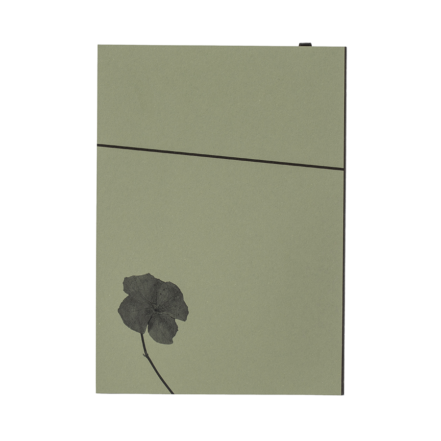 Moteris ir dangus. Kazimieros Galaunienės (Kairiūkštytės) ir jos artimųjų lagerio laiškai. 1953-1956