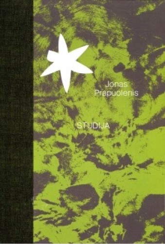 Jonas Prapuolenis. Studija